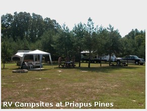 Priapus Pines Gay Campground in Illinois